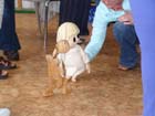 DSC00202