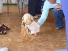 DSC00203